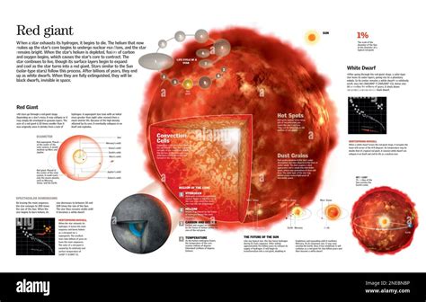 Schéma illustrant les différentes catégories d'effets disponibles dans Red Giant Universe