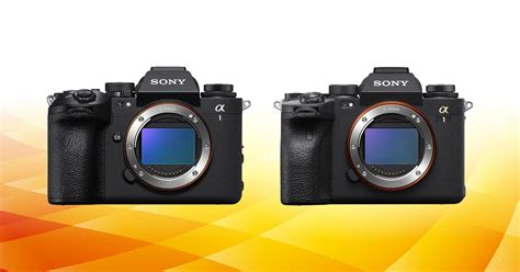 Photo comparative : fichier RAW du Sony A1 II non édité dans Lightroom 14.4