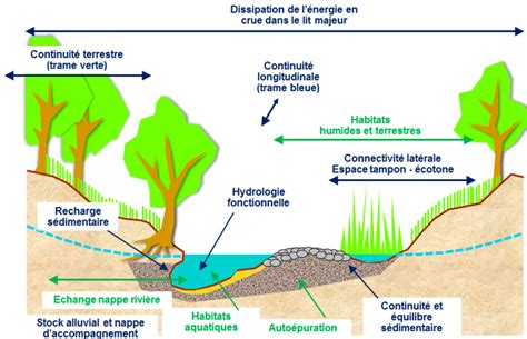 Tracé des cours d'eau avec un pinceau fin