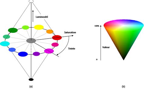 Exemple d'ajustement de luminosité, valeurs et saturation sur une photo