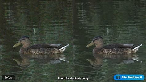 Comparaison avant/après de photos traitées avec ON1 NoNoise AI et ON1 Sky Swap AI.