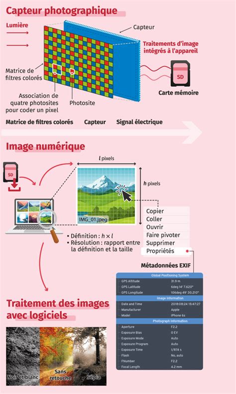 Image d'une photographie tachée, illustrant des 