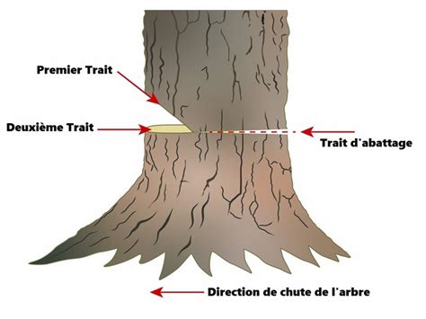 Illustration montrant l'utilisation du plugin Resynthesizer pour supprimer un arbre sur une photo