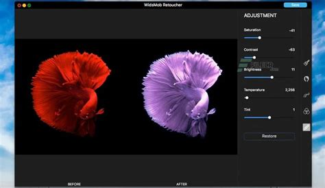 Interface de WidsMob AI Retoucher avec l'option Superposition de couleurs sélectionnée
