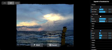 Interface de Photomosh avec l'effet Shake activé