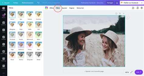 Exemple de résultats de recherche d'images sur Canva avec divers filtres appliqués.