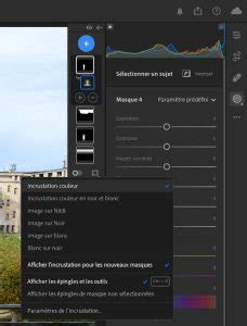 Exemple d'utilisation de l'outil de Masquage dans Lightroom