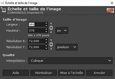 Illustration montrant l'outil de mise à l'échelle dans GIMP appliqué au sujet principal