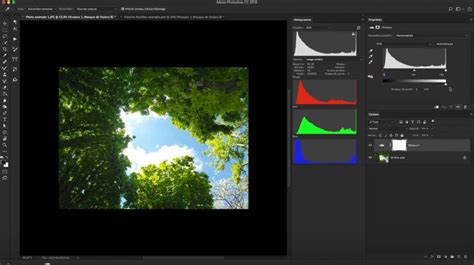 Capture d'écran de la fenêtre des Niveaux dans Photoshop avec un histogramme.