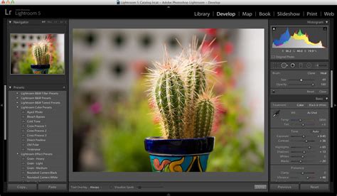 Interface utilisateur de Adobe Lightroom CC avec le panneau des réglages de base visible