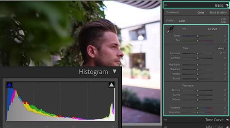 Capture d'écran du panneau d'étalonnage des couleurs dans Lightroom