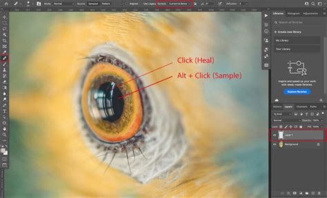 Illustration comparative des outils Patch et Pinceau de guérison dans Photoshop