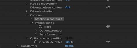 Interface d'After Effects montrant l'outil Roto-pinceau sélectionné