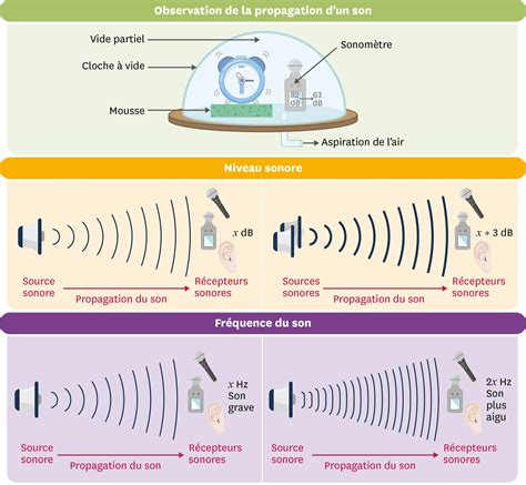 Schéma illustrant le processus de propagation d'images avec le Roto-pinceau
