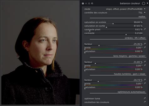 Capture d'écran de l'interface du module Balance Couleur dans Darktable.