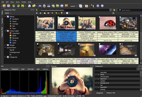 Interface XnView MP avec des options de tri et d'affichage