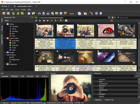 Interface XnView MP montrant la gestion des catégories et des mots-clés