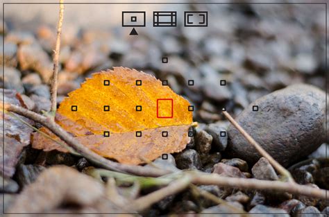 Interface du plugin Show Focus Point affichant les informations de mise au point