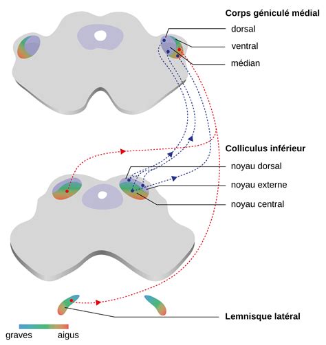 Schéma illustrant le concept de discrétisation du noyau gaussien dans le traitement d'image.