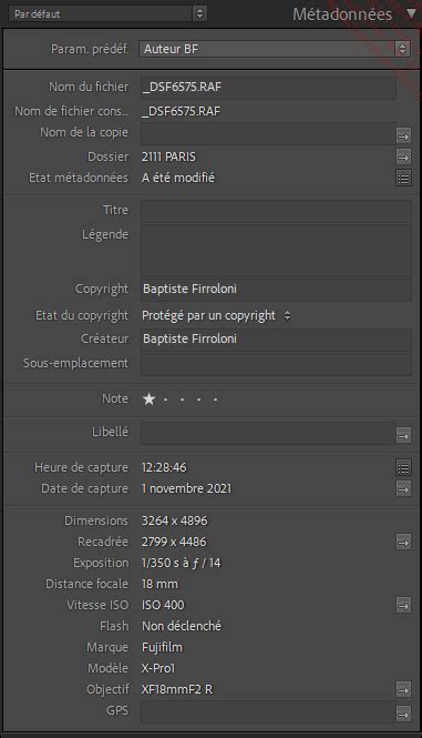 Interface de Lightroom Classic montrant le panneau Métadonnées