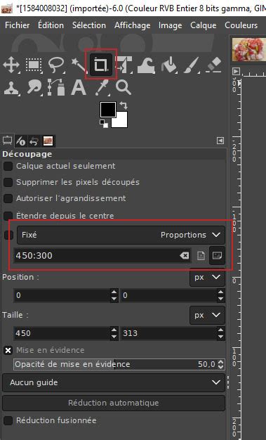 Outil de découpage de GIMP avec les options de proportions et de dimensions