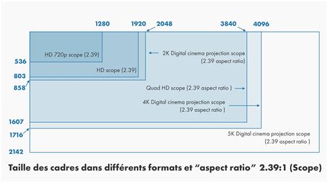 Infographie présentant les différents formats vidéo courants avec leurs caractéristiques principales