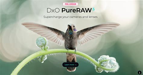 Comparaison avant/après d'une image traitée avec DxO PureRAW 5, montrant la réduction du bruit et la préservation des détails
