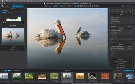 Interface de DxO PhotoLab 9 montrant la gestion des projets et des dossiers