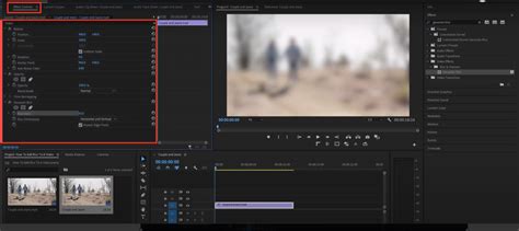 Capture d'écran montrant l'application d'un masque pour un flou sélectif dans Premiere Pro