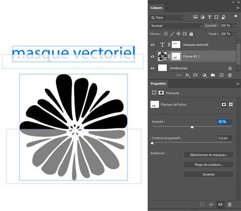 Comparaison visuelle entre un masque de pixels et un masque vectoriel