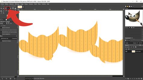 Capture d'écran de GIMP montrant l'outil de sélection contiguë utilisé pour supprimer un fond uni