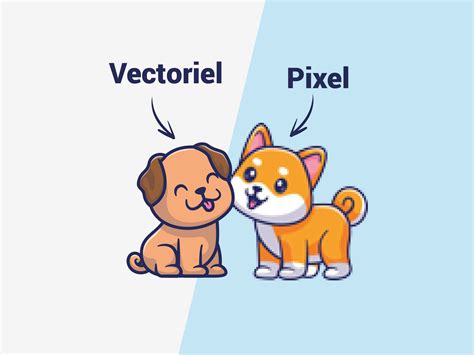 Infographie comparant une image pixelisée et une image vectorielle