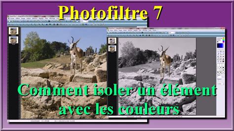 Exemple d'une image recadrée pour isoler un élément potentiellement utilisable comme motif