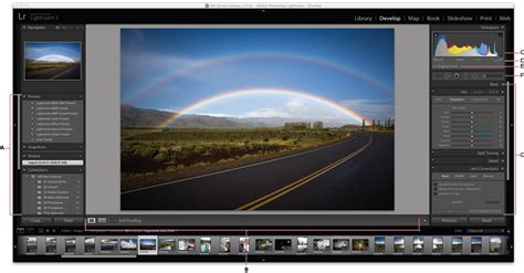 Capture d'écran du module Développement de Lightroom, montrant les curseurs de réglage.