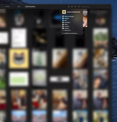 Interface de l'application Web Albums sur iPad, montrant la gestion des albums photo