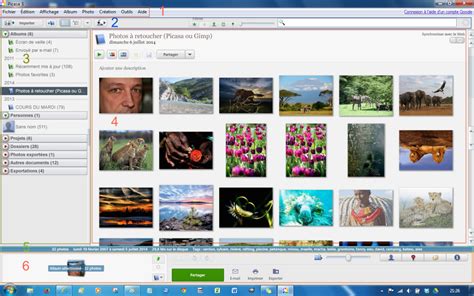 Interface principale de Picasa avec une vue des albums et des photos