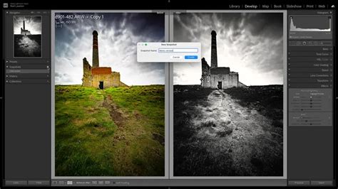 Capture d'écran de Lightroom montrant le panneau 