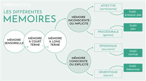 Schéma illustrant les différents types de flou disponibles dans Photoshop.