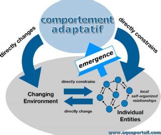 Comparaison des rendus avec échantillonnage adaptatif et fixe pour le flou de mouvement