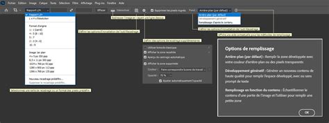 Illustration des différentes options de sélection et de recadrage dans GIMP
