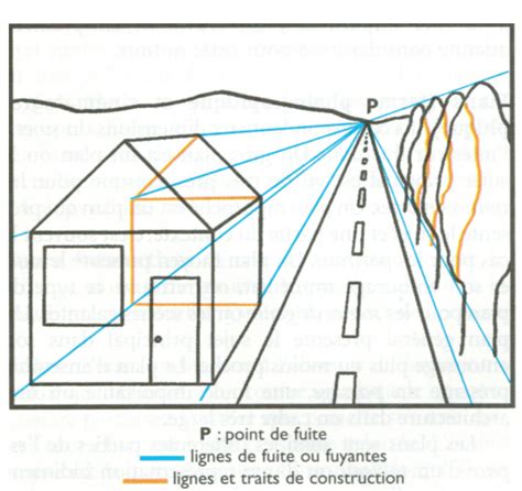 Exemples de règles : point de fuite, lignes concentriques, courbes et ellipses