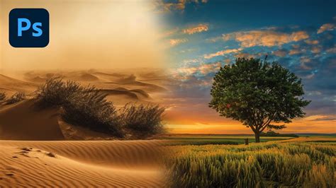 Exemple d'image finale résultant d'un fondu réussi entre deux photographies