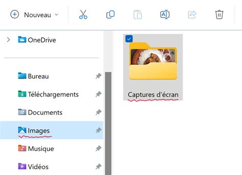 Capture d'écran du dossier