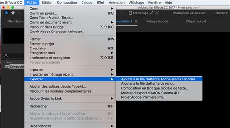 Fenêtre d'exportation dans Adobe Media Encoder avec des options de format