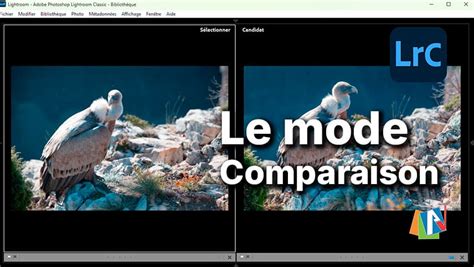 Comparaison des options 
