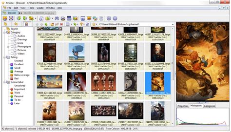 Capture d'écran montrant l'interface de gestion des catégories et des mots-clés dans XnView MP.