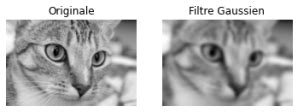 Visualisation de l'effet de foudre après application des filtres