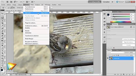 Exemple d'application d'un filtre de flou sur l'arrière-plan d'une image pour mettre le sujet au premier plan