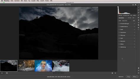 Interface utilisateur d'Adobe Camera Raw avec les panneaux d'ajustement