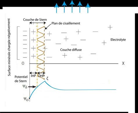 Schéma d'une double couche électrique autour d'un polyion